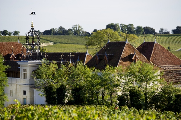 Château_Angelus_Enoteca_Barolo_vista_château_y_viña